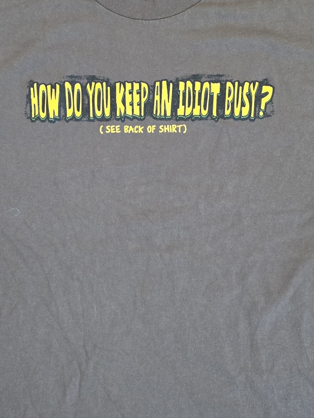 Vintage Y2K Novelty Funny Gray Tee with Yellow & Green Graphic